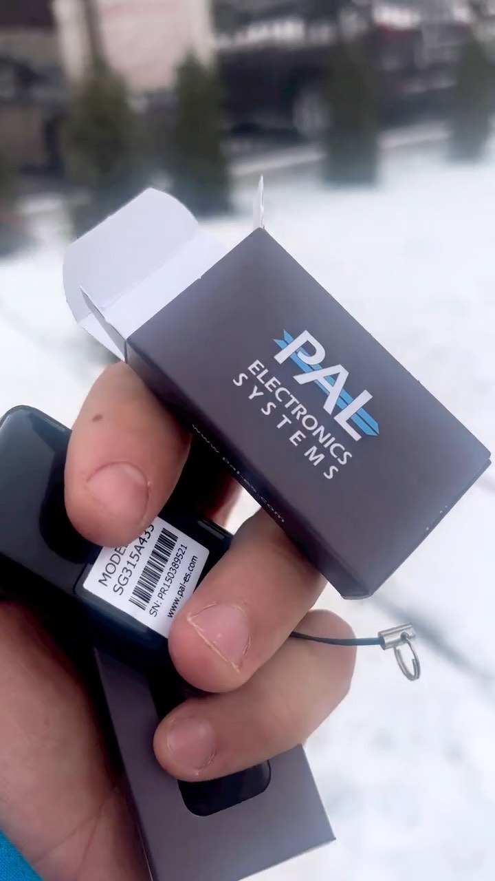 pal elektronic